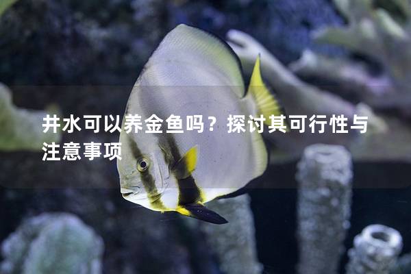 井水可以养金鱼吗？探讨其可行性与注意事项