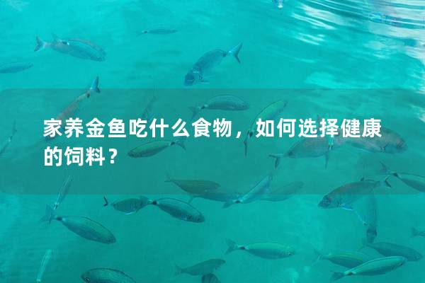 家养金鱼吃什么食物,如何选择健康的饲料?