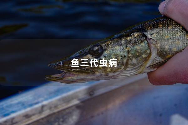 鱼三代虫病
