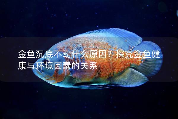 金鱼沉底不动什么原因?探究金鱼健康与环境因素的关系