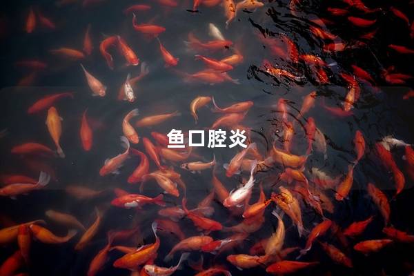 鱼口腔炎