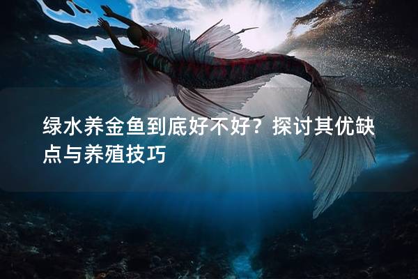 绿水养金鱼到底好不好？探讨其优缺点与养殖技巧