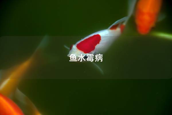 鱼水霉病