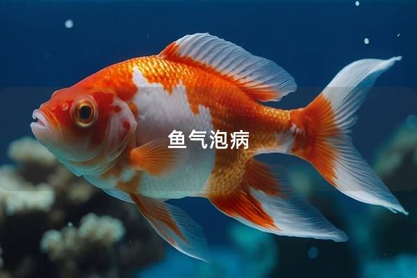 鱼气泡病