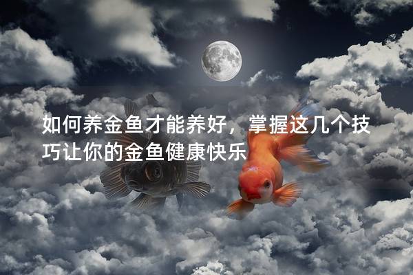 如何养金鱼才能养好，掌握这几个技巧让你的金鱼健康快乐