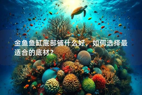 金鱼鱼缸底部铺什么好,如何选择最适合的底材?