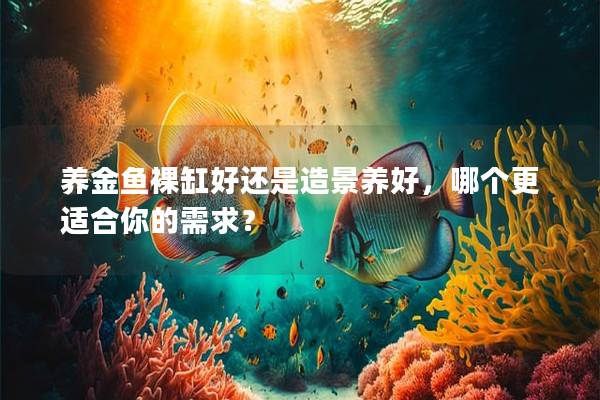 养金鱼裸缸好还是造景养好，哪个更适合你的需求？