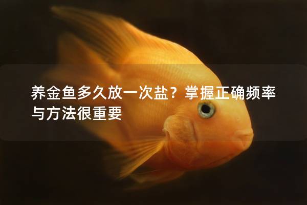 养金鱼多久放一次盐？掌握正确频率与方法很重要